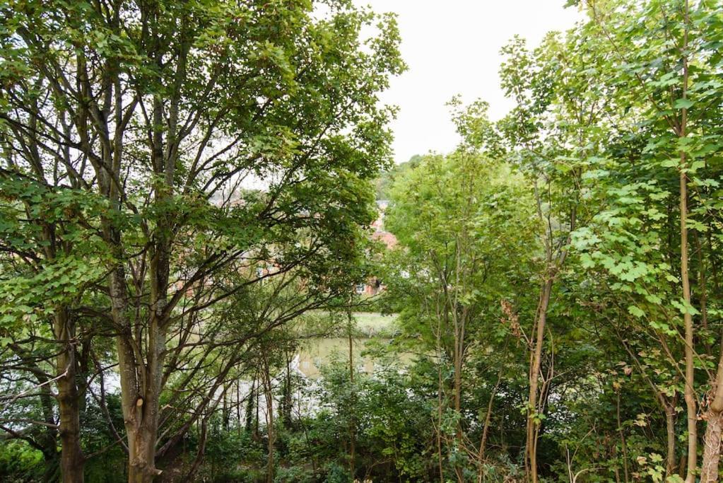 Apartament Modern Immaculate With Ac & Parking, Outside The Caz Bristol